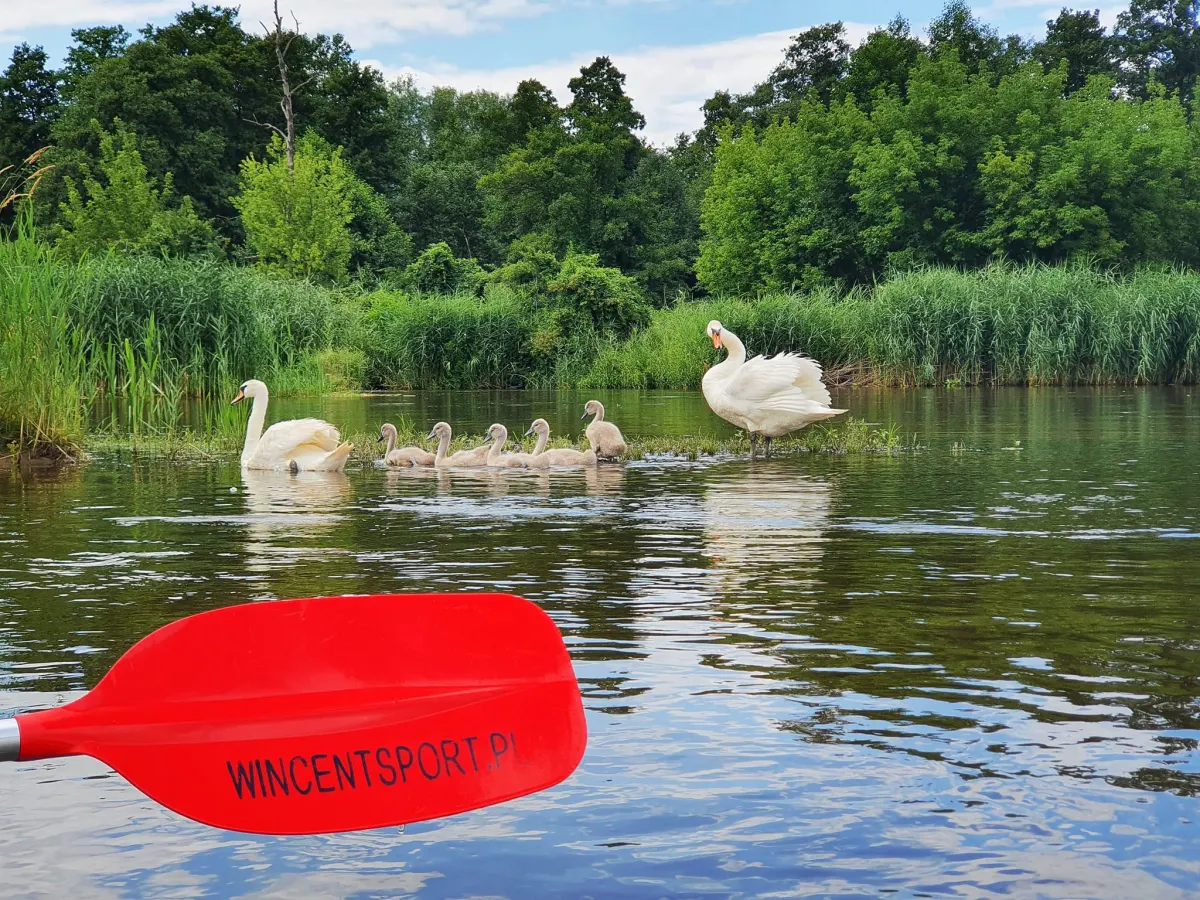 Wincent Sport — zdjęcie 2